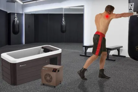 Transformez votre maison en une oasis intelligente et durable : le système de gestion de l'énergie domestique (HEMS) de Nancent